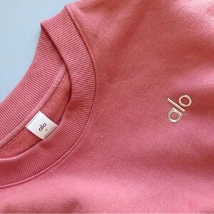 Alo Yoga Terracotta Accolade Crewneck